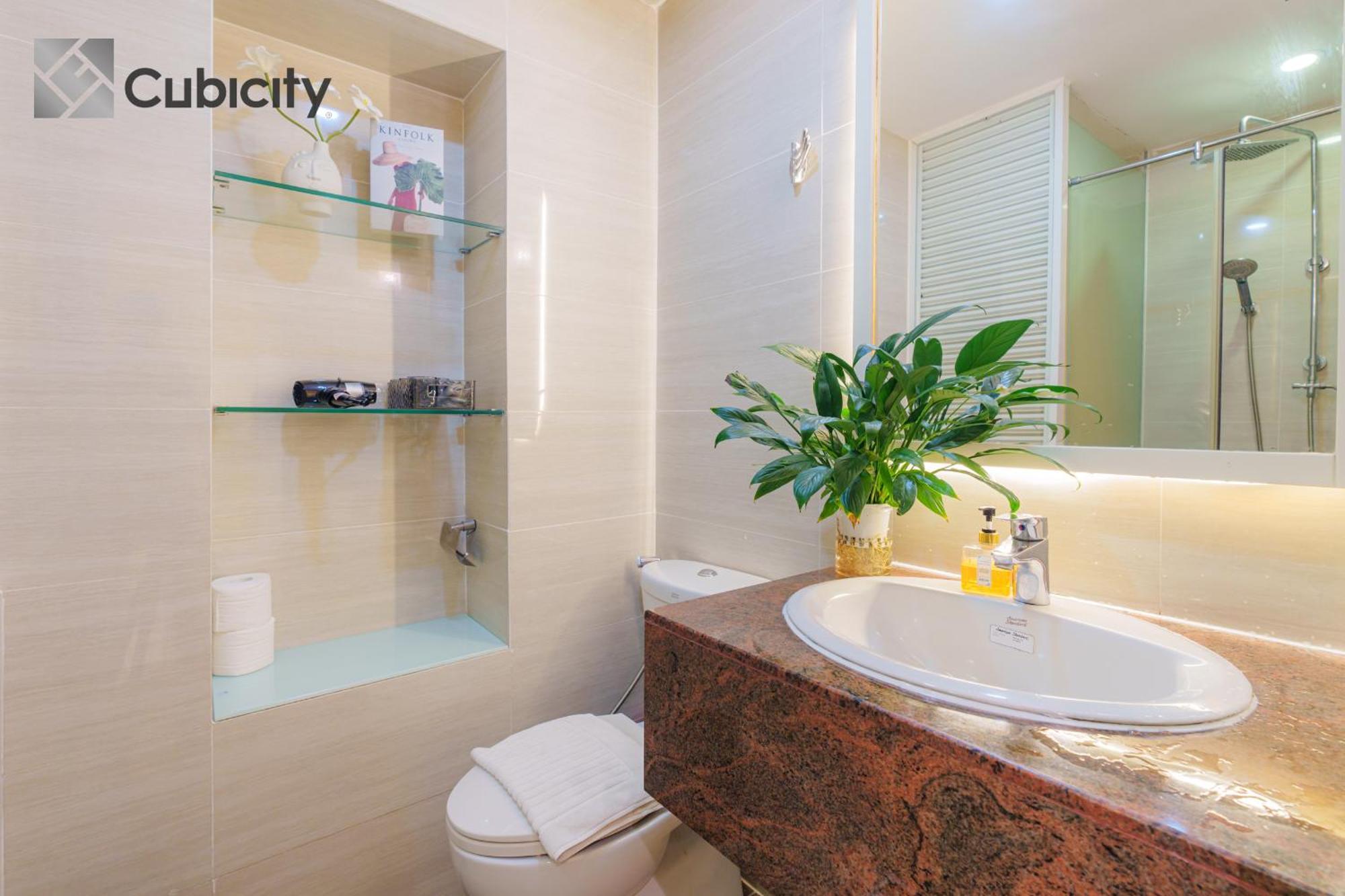 Cubicity Metro House